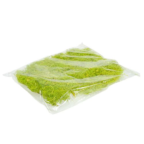 Floristik24 Curly Moss Jasnozielony 350g