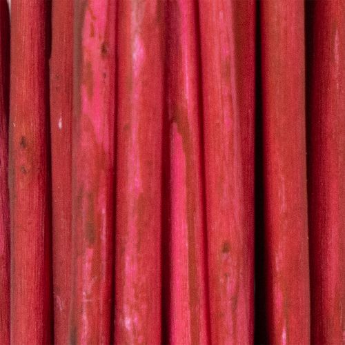 Produkt Suszona gałązka wierzby kędzierzawej do kreatywnej florystyki i akcesoriów domowych 80 cm 70 g