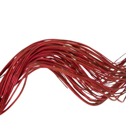 Produkt Suszona gałązka wierzby kędzierzawej do kreatywnej florystyki i akcesoriów domowych 80 cm 70 g