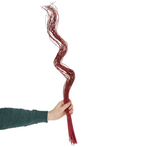 Produkt Suszona gałązka wierzby kędzierzawej do kreatywnej florystyki i akcesoriów domowych 80 cm 70 g