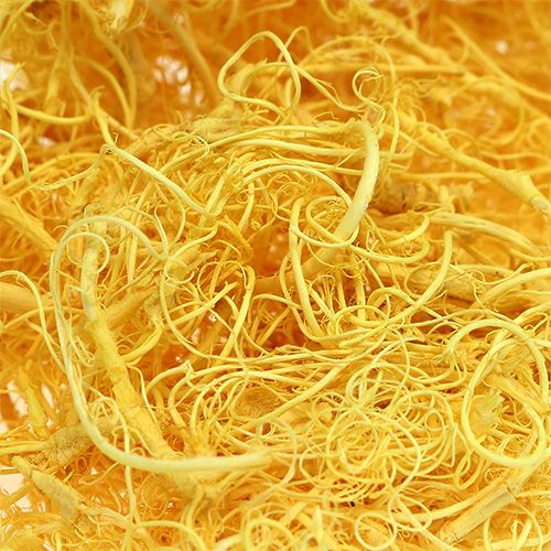Floristik24 Kędzierzawy mech jasnożółty 350g