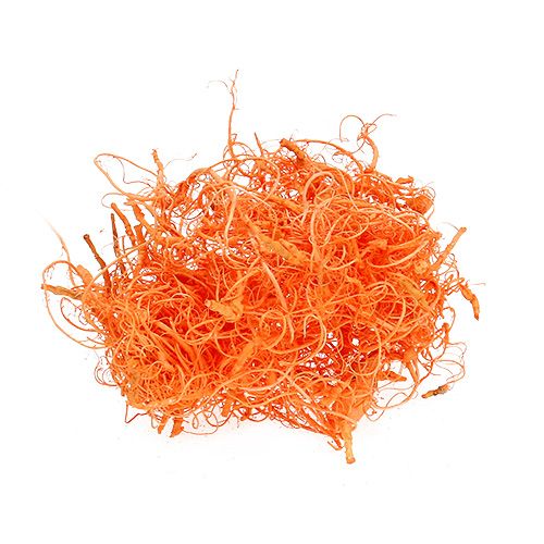 Floristik24 Curly Moss Pomarańcza 350g
