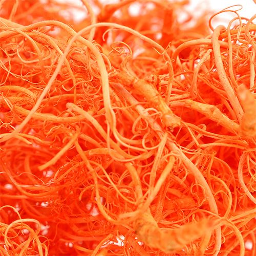 Floristik24 Curly Moss Pomarańcza 350g