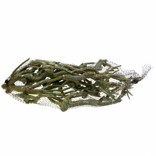 Produkt Deco branch curry green myte 500g