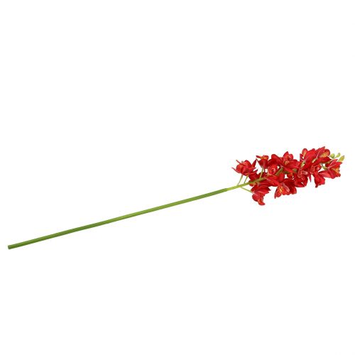Produkt Orchidea Cymbidium Red 78cm