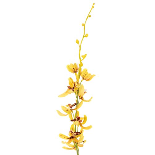 Produkt Sztuczna orchidea Cymbidium jako łodyga kwiatowa do eleganckiej dekoracji, 95 cm, 2 sztuki