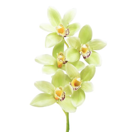 Storczyk Cymbidium sztuczny 5 kwiatów zielony 65cm