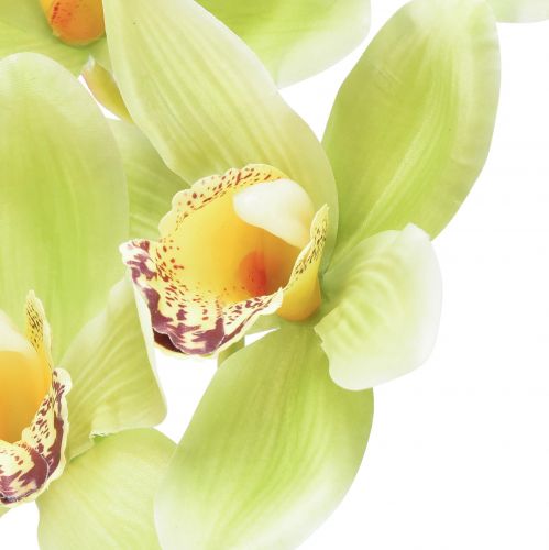 Produkt Storczyk Cymbidium sztuczny 5 kwiatów zielony 65cm
