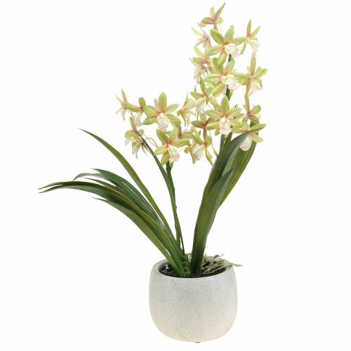 Floristik24 Orchidea Cymbidium Zielona w doniczce Sztuczna wys.46cm