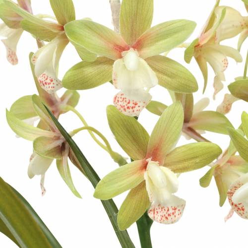 Produkt Orchidea Cymbidium Zielona w doniczce Sztuczna wys.46cm