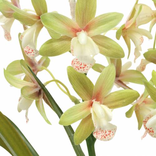 Floristik24 Orchidea Cymbidium Zielona w doniczce Sztuczna wys.46cm