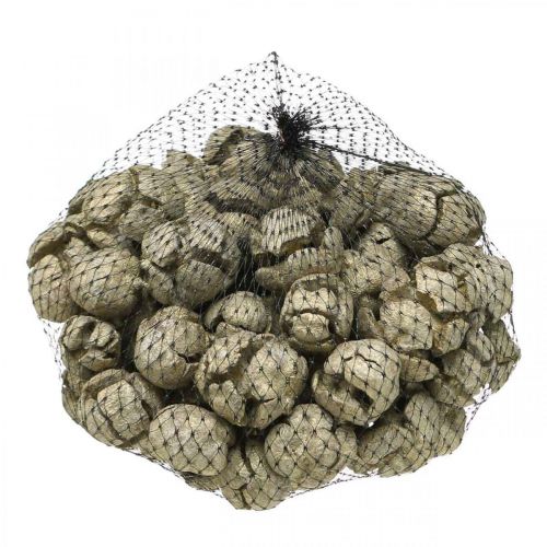 Szyszki cyprysowe naturalne, dekoracja świąteczna, szyszki rzemieślnicze pozłacane Ø2-3cm H2,5-3,5g 330g