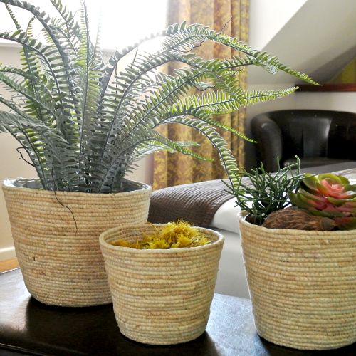 Produkt Kosz na rośliny rattan naturalny Ø26/22/16cm 3szt