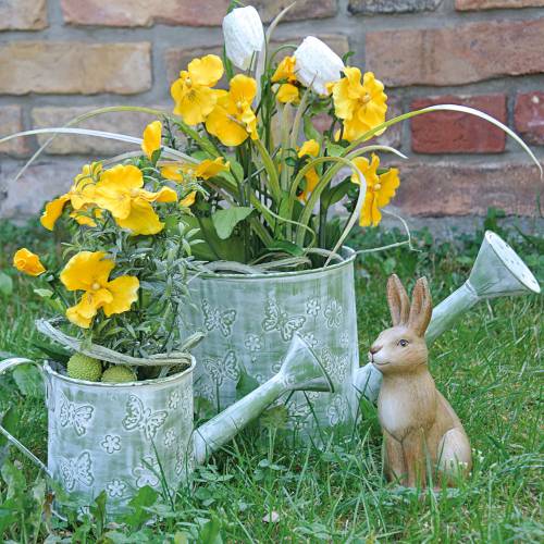 Floristik24 Konewka z motylami różowa Ø10cm H10cm