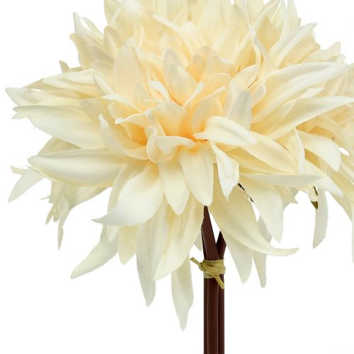 Floristik24 Dalia sztuczna kremowa 25,5cm 3szt