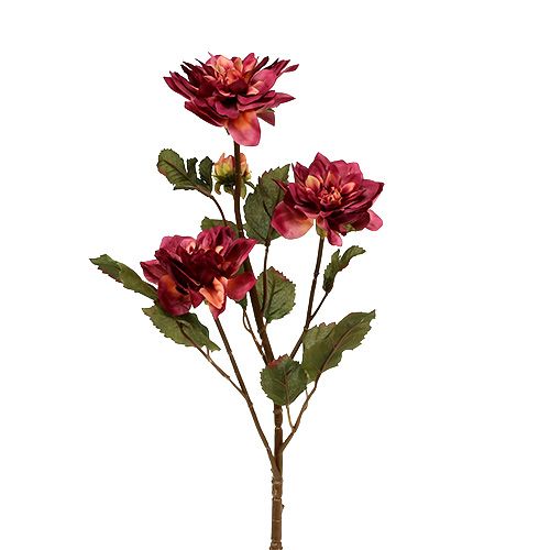 Floristik24 Dahlia Erica Ø10cm L68cm 3szt.