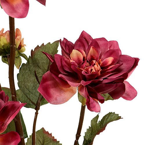 Floristik24 Dahlia Erica Ø10cm L68cm 3szt.