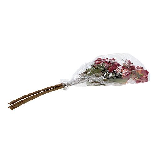 Floristik24 Dahlia Erica Ø10cm L68cm 3szt.