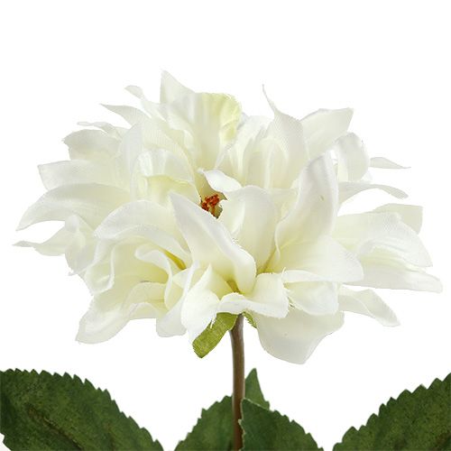 Produkt Dahlia Biała 28cm 4szt.