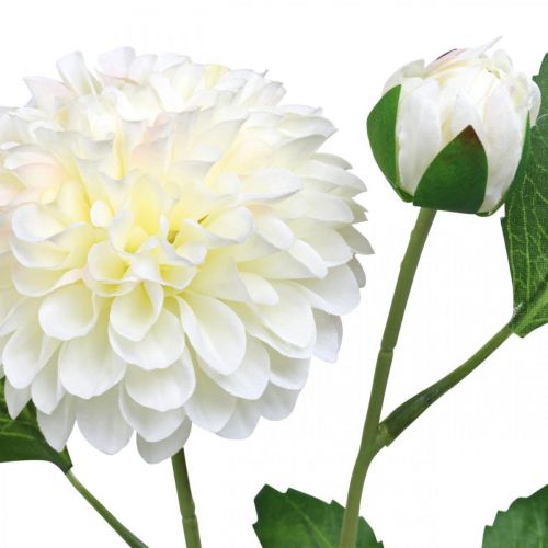 Produkt Dalia sztuczne kwiaty sztuczne kremowo-zielone 2 kwiaty 60cm