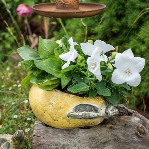 Produkt Gruszka dekoracyjna, ceramiczna do dekoracji, jesienna, doniczka L25cm H11cm