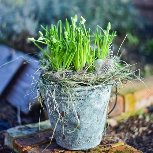 Floristik24 Wiaderko ozdobne, doniczka, wiadro ceramiczne antyczne Ø19,5cm W19cm