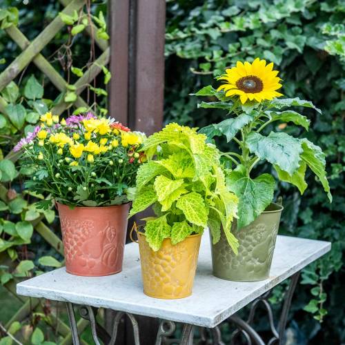 Produkt Ozdobne wiaderko z owocami myte żółty, pomarańczowy, zielony Ø15cm W14cm zestaw 3