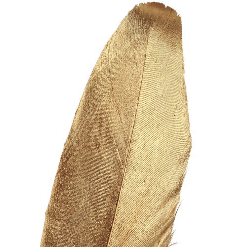 Produkt Pióra dekoracyjne złote Pióra świąteczne 15-20cm 12 szt