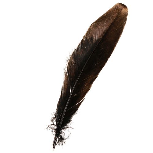 Produkt Pióra dekoracyjne złote Pióra świąteczne 15-20cm 12 szt