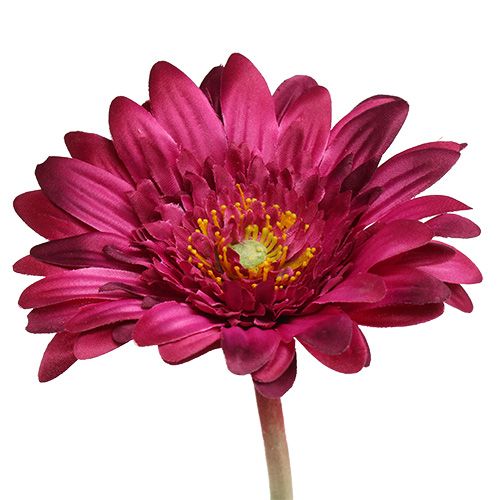 Floristik24 Gerbera dekoracyjna ciemnoróżowa Ø10cm L53cm 6szt.