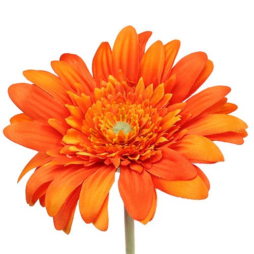Floristik24 Deco Gerbera Pomarańczowa Ø10cm L53cm 6szt.