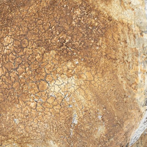 Produkt Dekoracyjna figurka królika do wiosennego wystroju domu, 32 cm, 2 sztuki