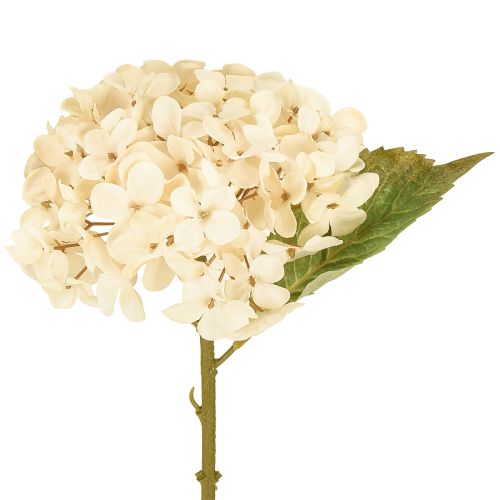 Hortensje dekoracyjne sztuczne kremowe kwiaty jedwabne 34cm 2szt