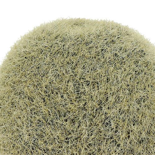 Floristik24 Kiwi dekoracyjne 6cm 6szt.