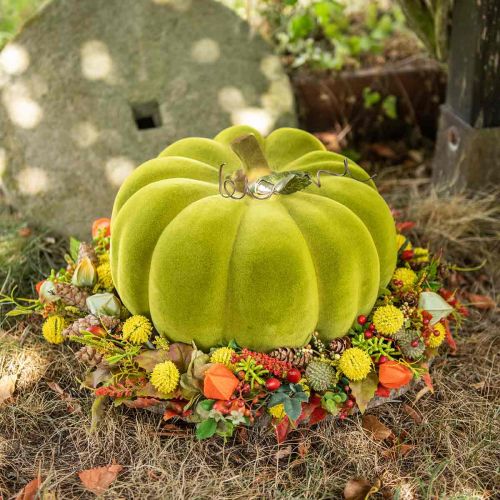 Floristik24 Dekoracyjna dynia flokowana Moss Green 32cm
