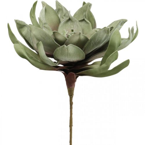 Deco kwiat lotosu sztuczny kwiat lotosu sztuczny kwiat zielony L70cm