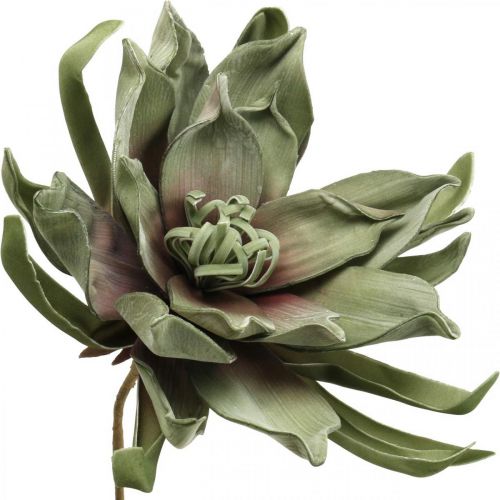 Floristik24 Deco kwiat lotosu sztuczny kwiat lotosu sztuczny kwiat zielony L70cm