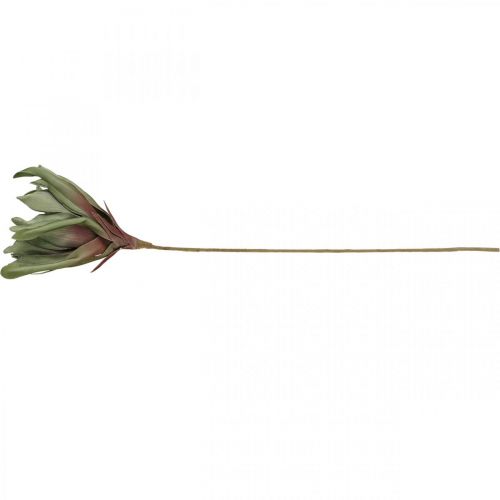 Floristik24 Deco kwiat lotosu sztuczny kwiat lotosu sztuczny kwiat zielony L70cm