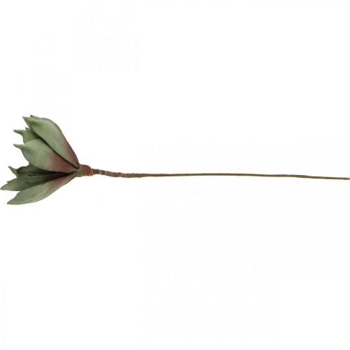 Floristik24 Deco kwiat lotosu, kwiat lotosu, kwiat jedwabiu zielony L64cm