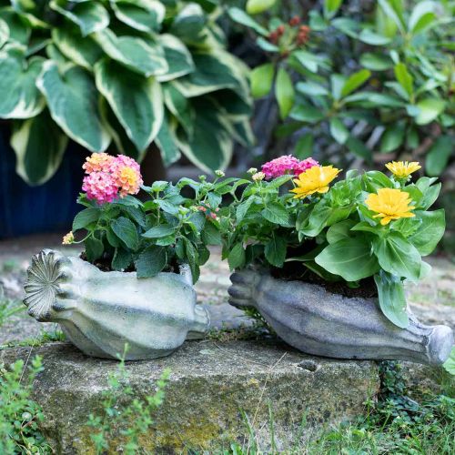 Floristik24 Dekoracyjna kapsuła makowa, betonowa donica, skrytka, dekoracja grobu L26cm