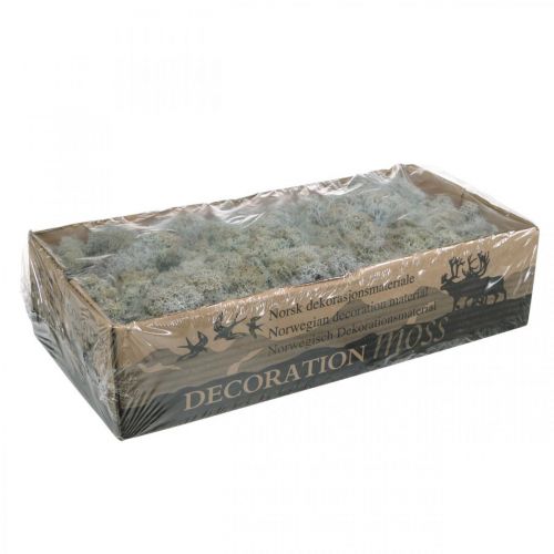 Produkt Mech dekoracyjny szary mech naturalny do rękodzieła, suszony, barwiony 500g
