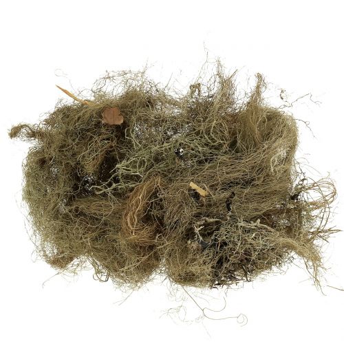 Floristik24 Mech dekoracyjny natura do craftingu 500g