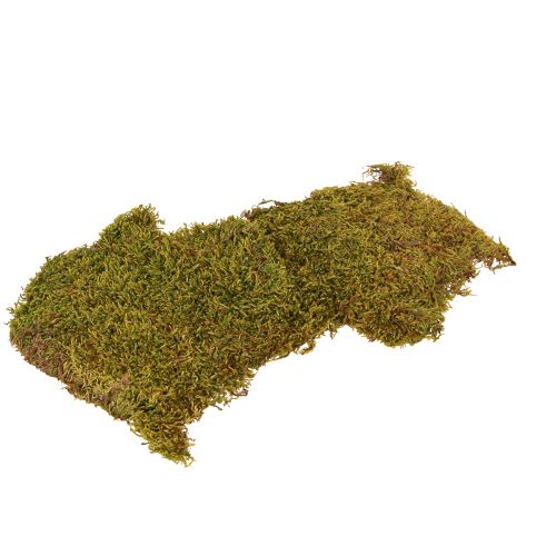 Produkt Mech dekoracyjny do wyrobu mchu naturalnego jasnozielonego konserwowany 150g