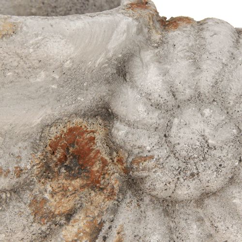 Produkt Dekoracyjna doniczka z efektem muszli 22,5x13,5x13,5cm