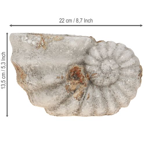 Produkt Dekoracyjna doniczka z efektem muszli 22,5x13,5x13,5cm
