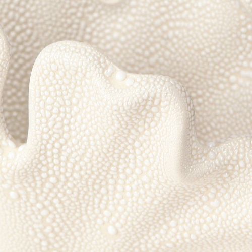 Produkt Wazon dekoracyjny muszla mini ceramiczny wazon kremowy 14×7,5×9,5cm