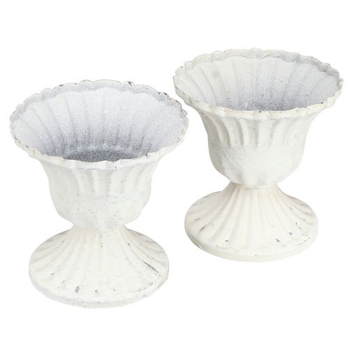 Floristik24 Kubek dekoracyjny Shabby Chic Kielich Biały Ø8cm W8,5cm 2szt