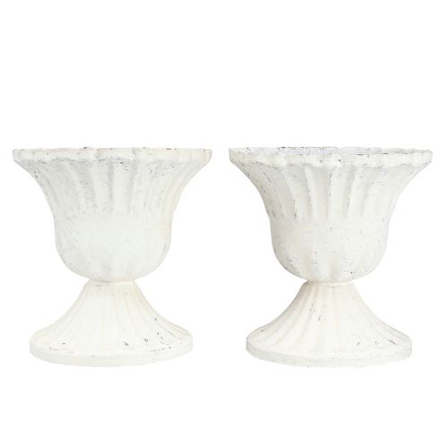 Floristik24 Kubek dekoracyjny Shabby Chic Kielich Biały Ø8cm W8,5cm 2szt