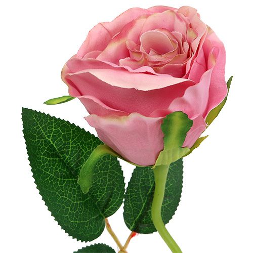 Floristik24 Deco Rose Ø6cm Old Pink L50cm 1szt.