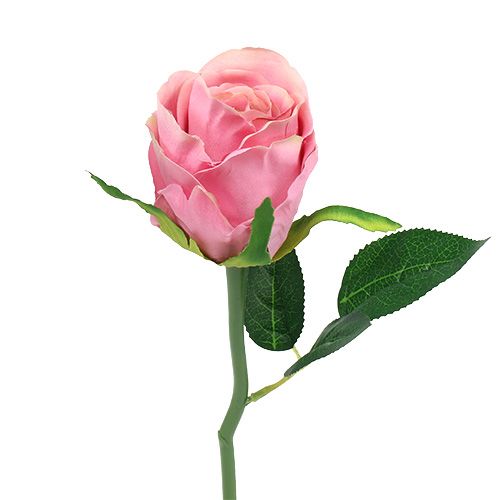 Floristik24 Deco Róża Ø6cm Różowa L30cm 6szt.